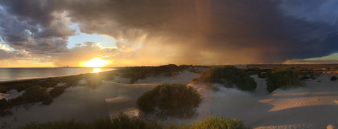Shelly Beach Dune Walk Trail - Find Attractions 2