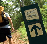 Sunshine Coast Hinterland Great Walk - Find Attractions