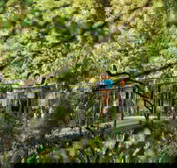 Tamborine Mountain - Find Attractions