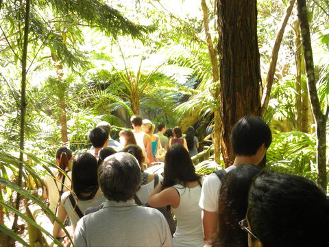 Tamborine Mountain Glow Worm Tours - Find Attractions 1