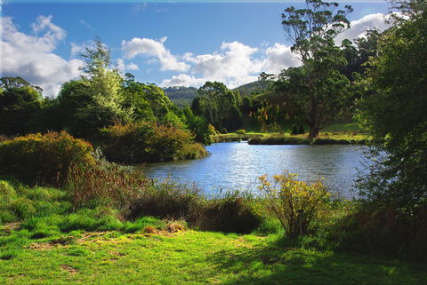 Tasmanian Arboretum Inc. - The - Find Attractions 0