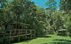 Terania Creek Picnic Area - thumb 0