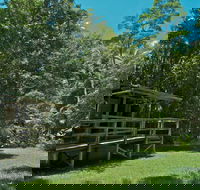 Terania Creek Picnic Area - Find Attractions