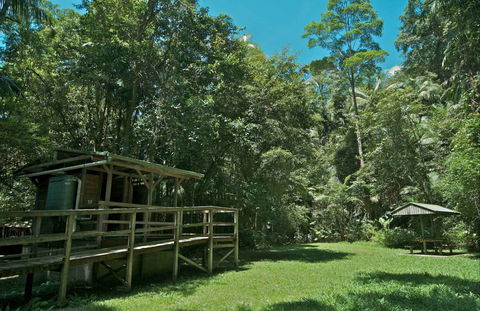 Terania Creek Picnic Area - Find Attractions 0