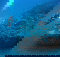 The Zanoni Wreck - Find Attractions