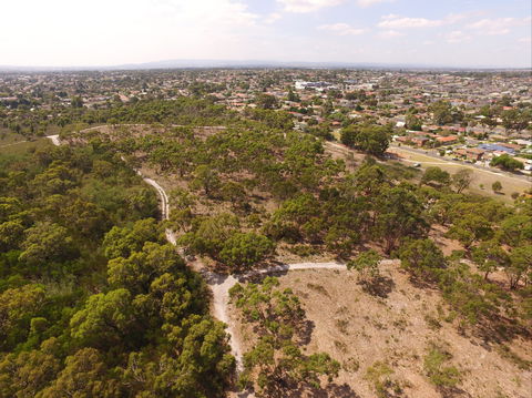 The Pines Flora And Fauna Reserve - Find Attractions 0