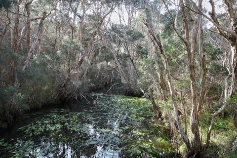 The Briars Park Walking Trails - Find Attractions 2