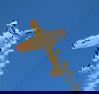 Warbird Aerial Adventures - Find Attractions