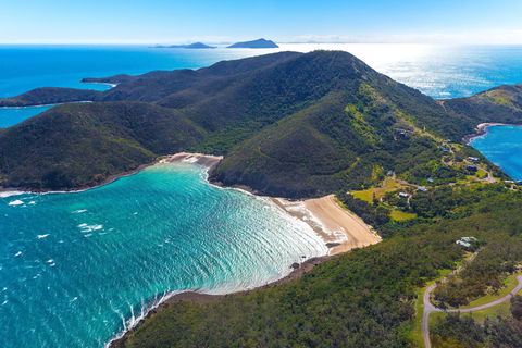 Whale Watching On Keswick Island - Find Attractions 1