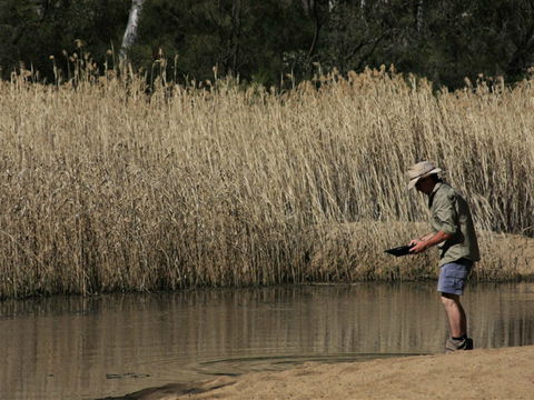 Wooldridge Recreation And Fossicking Reserve - Find Attractions 2