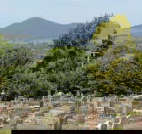Yackandandah Cemetery - Find Attractions