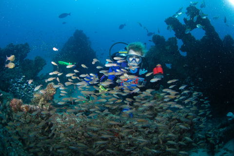 Aarhus Dive Site - Find Attractions 0