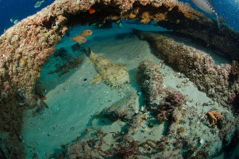 Aarhus Dive Site - Find Attractions 2