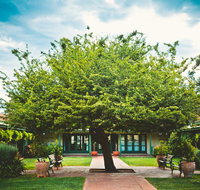 Ainslie  Gorman Arts Centres - Find Attractions