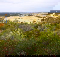 Archer Drive Scenic Drive and Lookout - Find Attractions