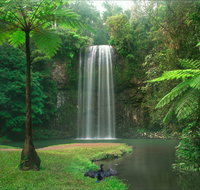 Atherton Tablelands - Find Attractions