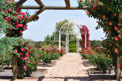 Australian Inland Botanic Gardens - Find Attractions 0