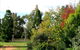 Australian Inland Botanic Gardens - thumb 2