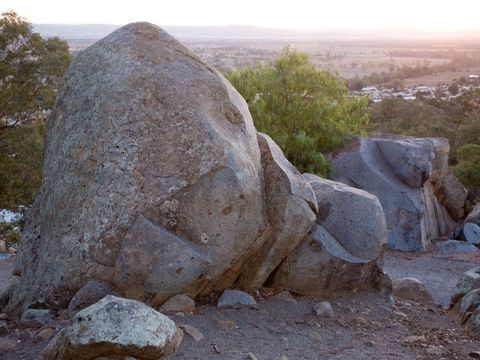 Bellevue Hill Reserve - Find Attractions 0