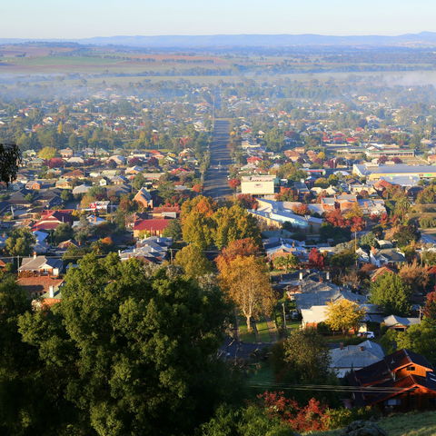 Bellevue Hill Reserve - Find Attractions 1