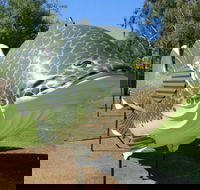 Big Murray Cod - Find Attractions