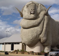 Big Merino - Find Attractions