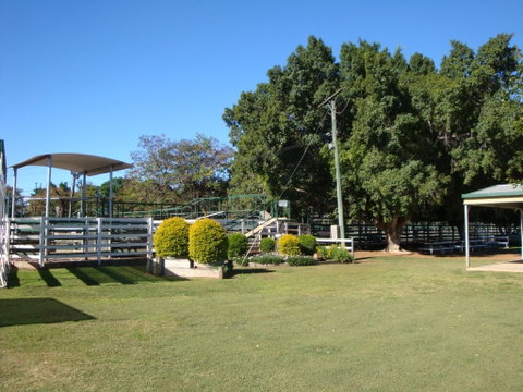 Blackall Saleyards - Find Attractions 1