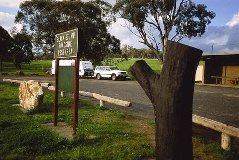 Black Stump Rest Area - Find Attractions 0