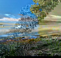 Black Oaks Picnic Area - Find Attractions