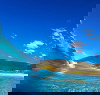 Blueys Beach Pacific Palms - Find Attractions