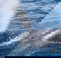 Bremer Bay Canyon - Find Attractions