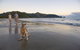 Cape Hillsborough National Park - thumb 0
