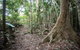 Cape Hillsborough National Park - thumb 2