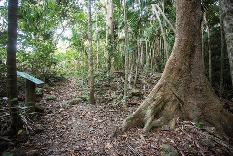 Cape Hillsborough National Park - Find Attractions 2