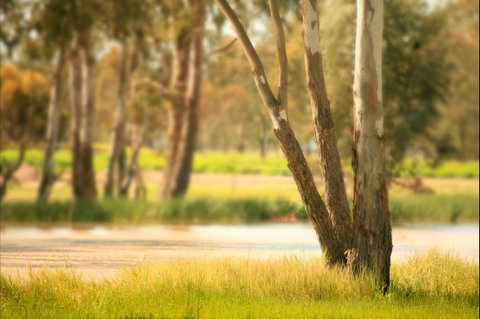 Cecil Plains To Tara Fishing Tour - Find Attractions 1