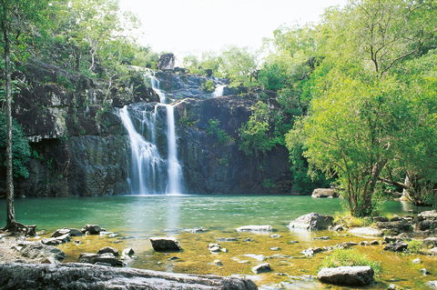 Cedar Creek Falls - Find Attractions 0