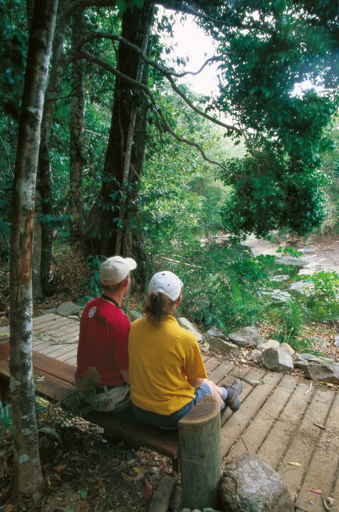 Cedar Creek Falls - Find Attractions 1