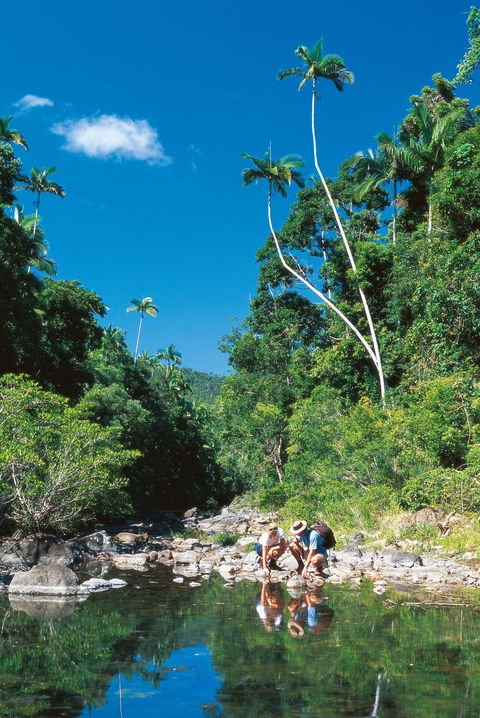 Cedar Creek Falls - Find Attractions 2
