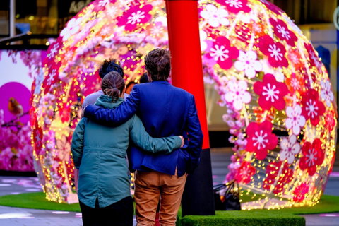 Cherry Blossom Festival - World Square - Find Attractions 1
