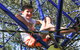 City Park - thumb 0