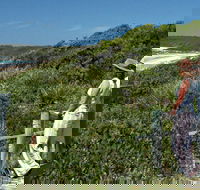 Conjola Beach Picnic Area - Find Attractions