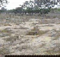Culgoa Connellys Track - Find Attractions
