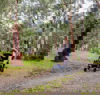Currawong Bush Park - Find Attractions