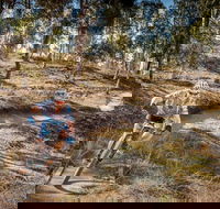 Cycle Mogo State Forest - Find Attractions