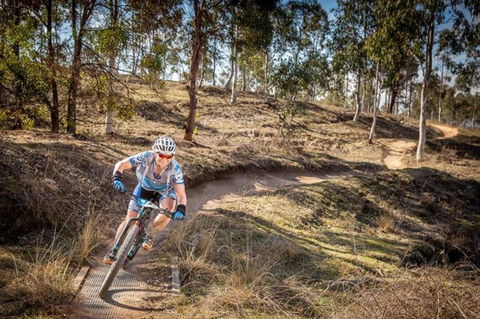 Cycle Mogo State Forest - Find Attractions 0