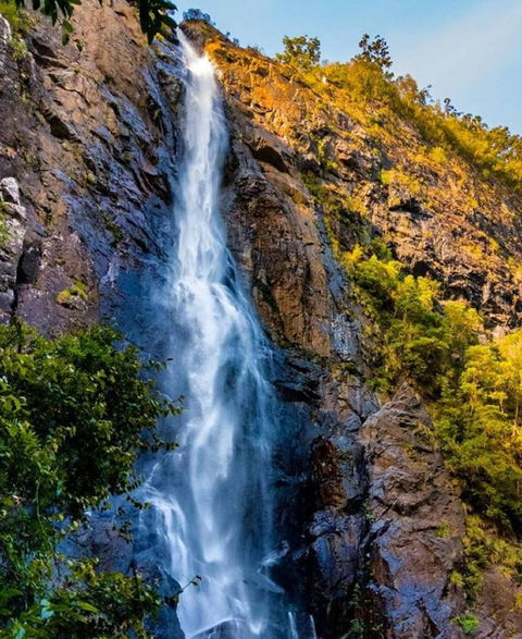 Ellenborough Falls - Find Attractions 0