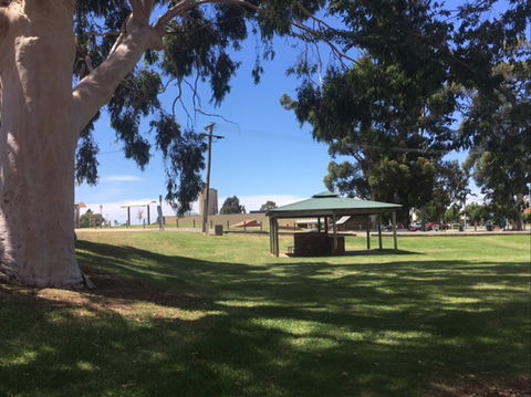 Federation Park Cobram - Find Attractions 0