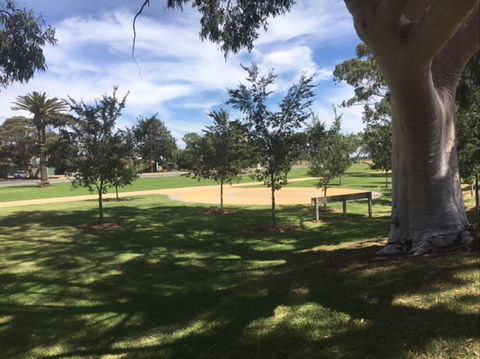 Federation Park Cobram - Find Attractions 1