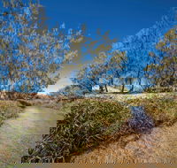 Freshwater Creek Track Byfield National Park - Find Attractions