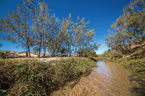 Freshwater Creek Track, Byfield National Park - Find Attractions 0